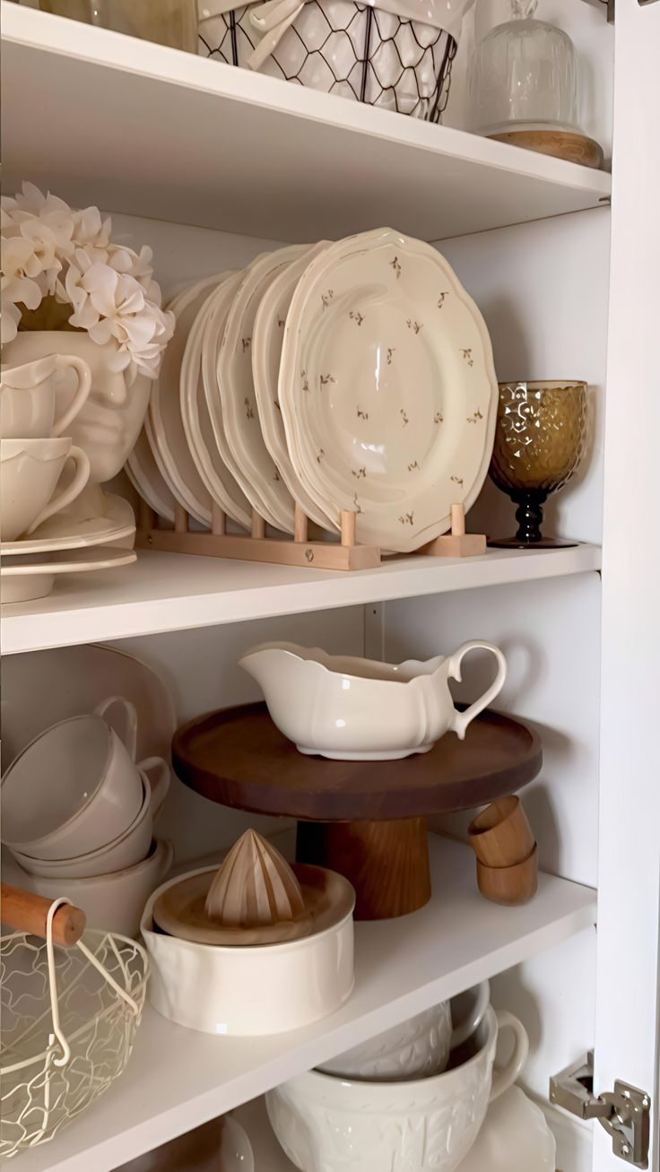 🍽️ Dinnerware