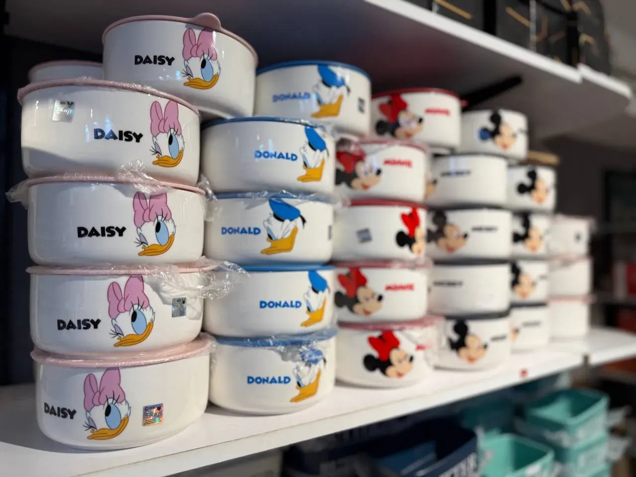 Disney Fridge Containers