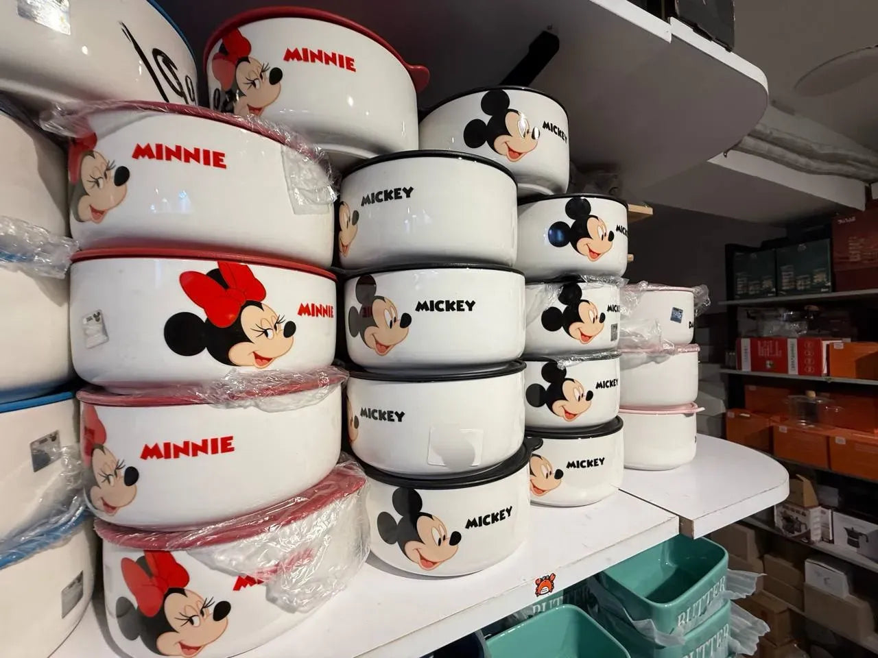 Disney Fridge Containers