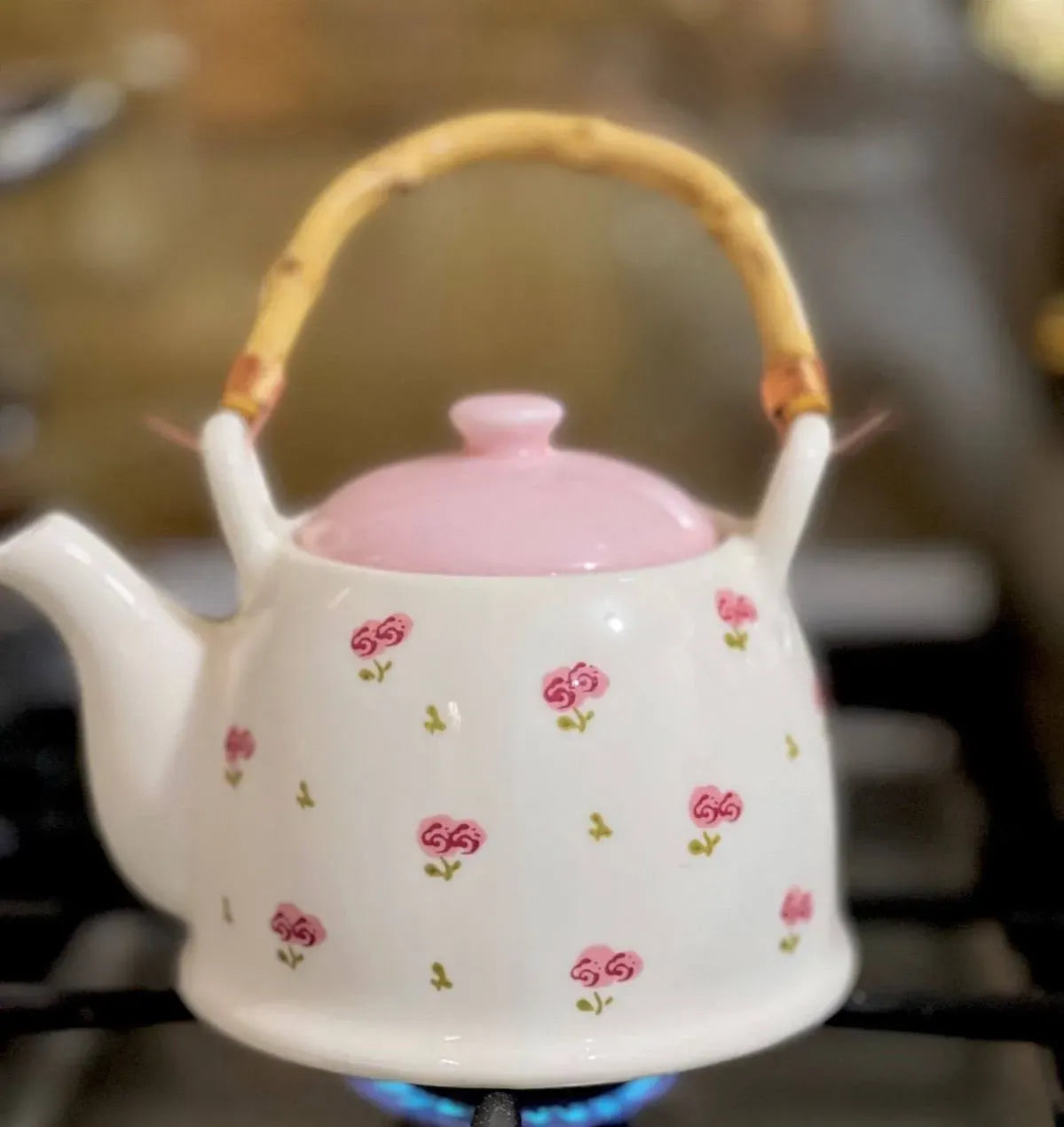 Wooden Handle Teapot