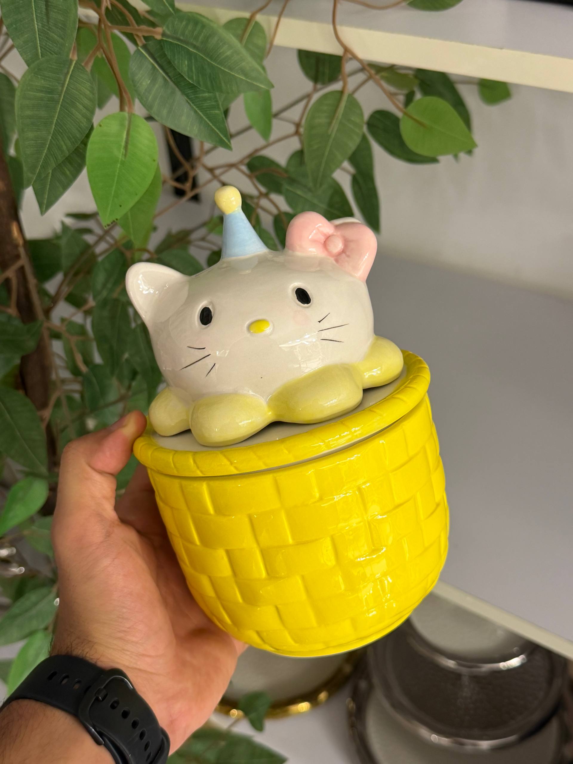 بونبونيرة "كيتي بارتي" (Kitty Party Jar)