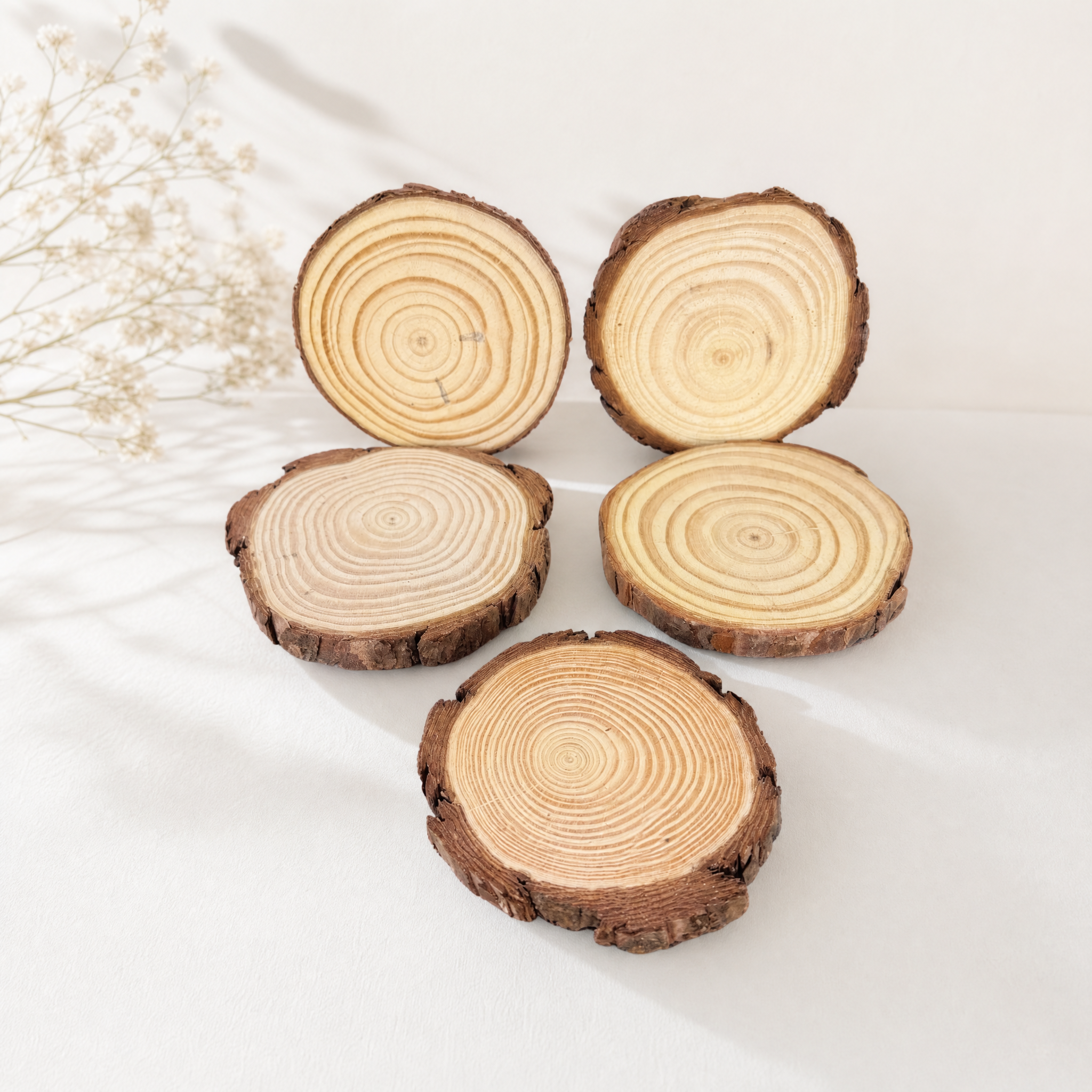 The Earthy Edge Coaster Set